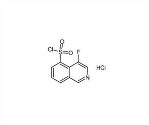 4-fluoroisoquinolina-5-sulfonyl Cloridrato CAS 906820-08-4