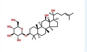 Ginsenosídeo Rh2 CAS 78214-33-2
