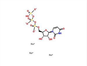 Uridine 5'-triphosphate Trisódico Sal UTP-Na3 CAS 19817-92-6