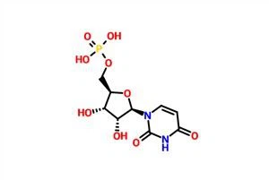 Uridine 5'-monofosfato (UMP-H) CAS 58-97-9